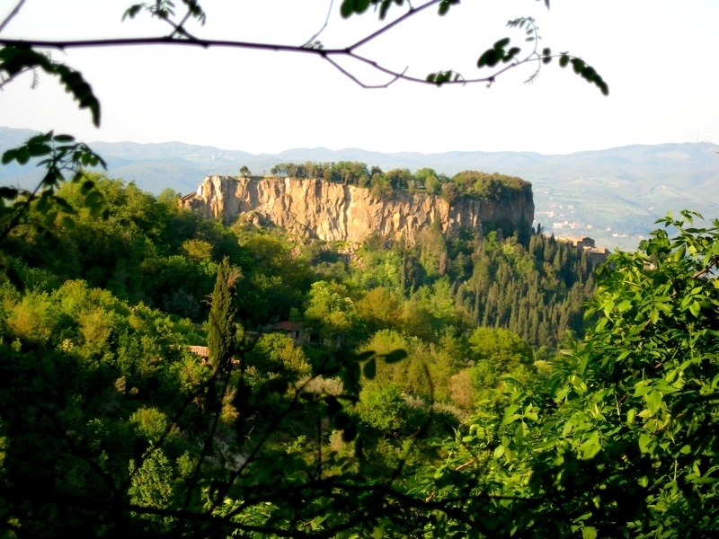 rocca ripesena