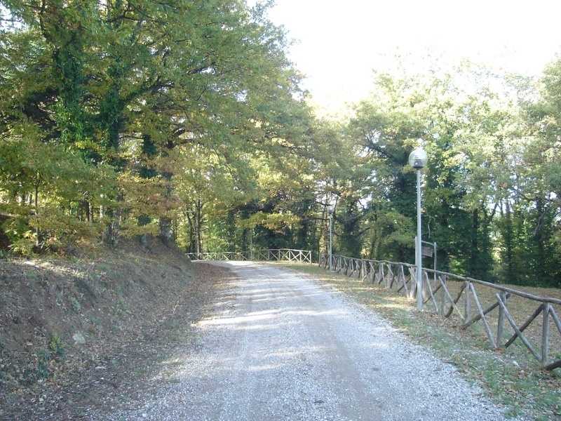 Monte Peglia