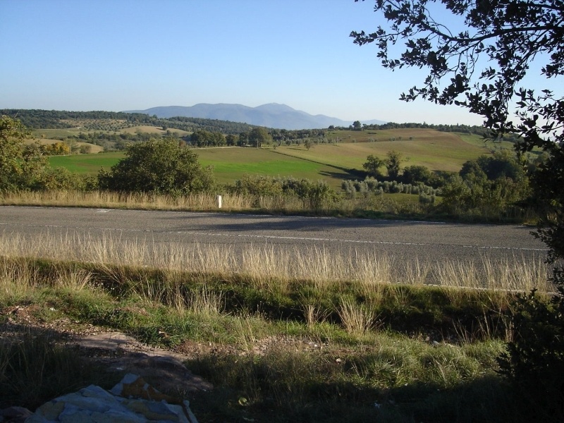 Borgo di Osa, Orvieto