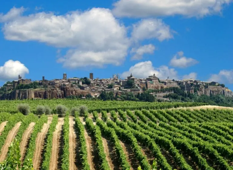 orvieto wine experience tour