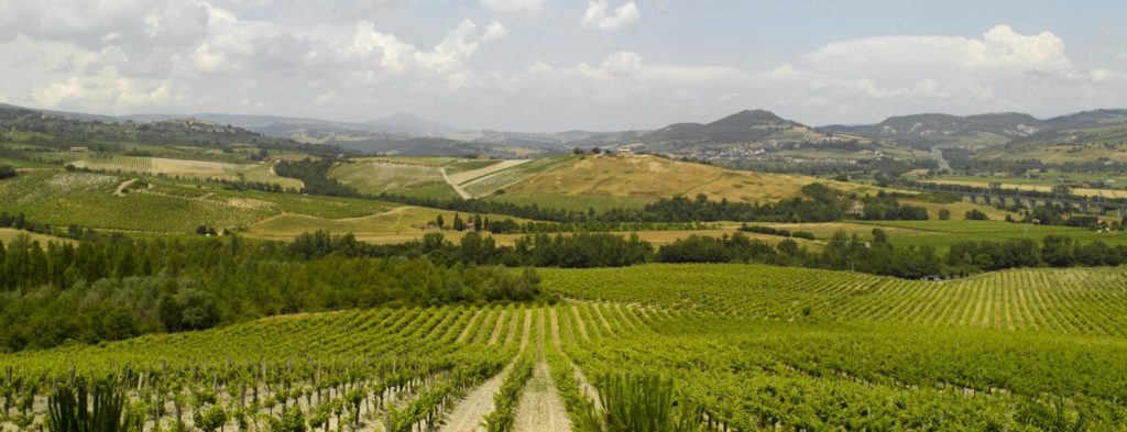 Orvieto typical flavours and products